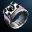 Common Item - Enchanted Ring