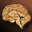 Icon Item Zombie's Brain