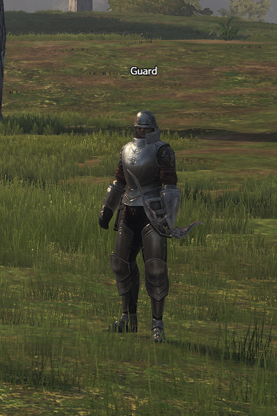 NPC Guard Lineage 2