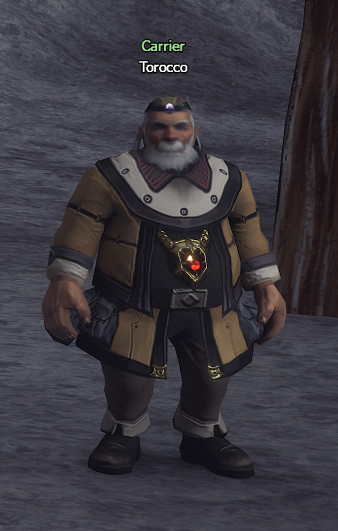 NPC Torocco Lineage 2