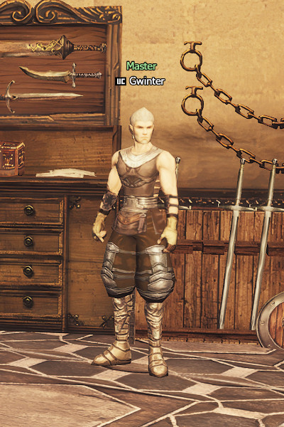 NPC Gwinter Lineage 2