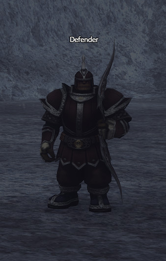 NPC Defender Lineage 2