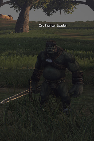NPC Orc Fighter Leader Lineage 2