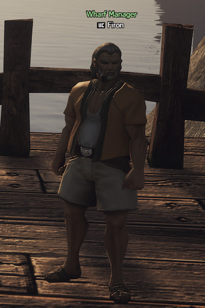 NPC Firon Lineage 2