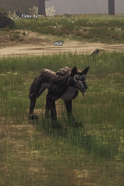 NPC Wolf Lineage 2
