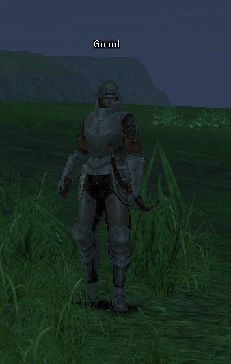 NPC Guard Lineage 2
