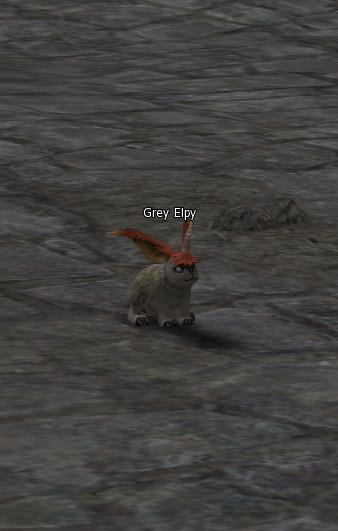 NPC Grey Elpy Lineage 2
