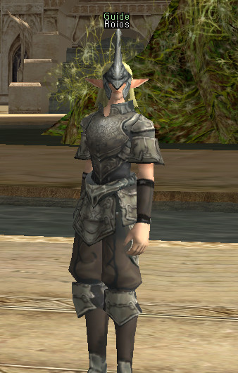 NPC Помощник Новичков Lineage 2