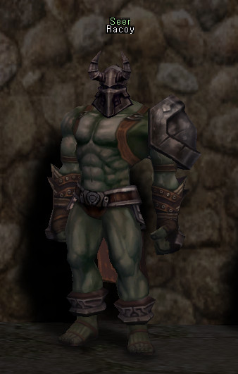 NPC Racoy Lineage 2